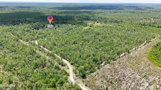 24197 NW Pine Tree Trl, Fountain, FL 32438 - aerial view of a heavily wooded area