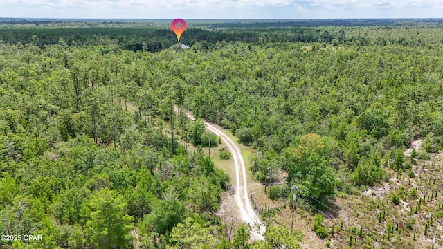 24197 NW Pine Tree Trl, Fountain, FL 32438 - bird's eye view of a heavily wooded area