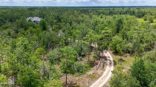 24197 NW Pine Tree Trl, Fountain, FL 32438 - aerial view of a heavily wooded area