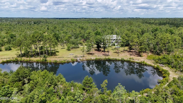 24197 NW Pine Tree Trl, Fountain, FL 32438 - bird's eye view of a large body of water