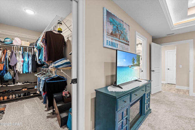 4304 Bylsma Cir, Panama City, FL 32404 - walk in closet featuring carpet floors
