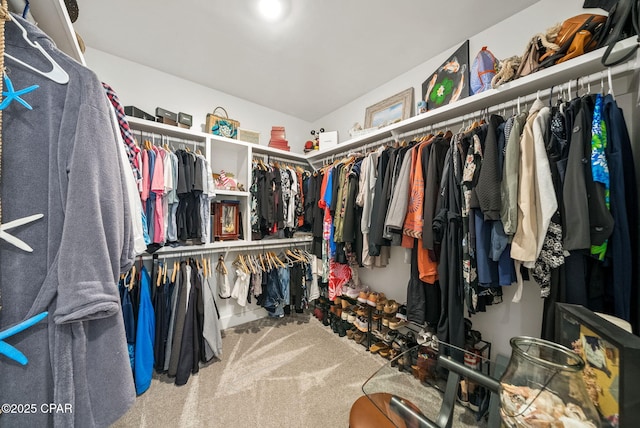 2012 Frankford Point Rd, Panama City, FL 32405 - spacious closet with carpet flooring