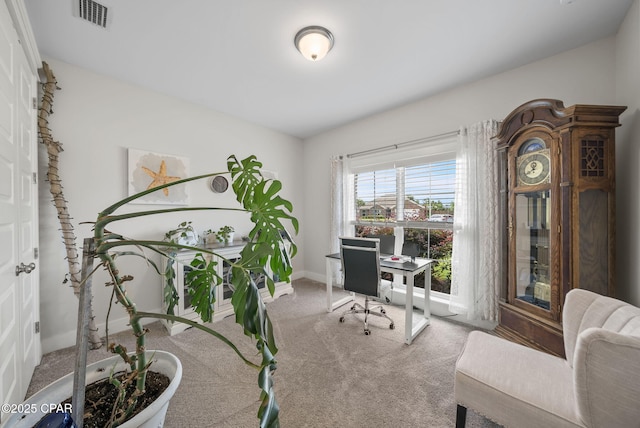 2012 Frankford Point Rd, Panama City, FL 32405 - office with carpet and baseboards