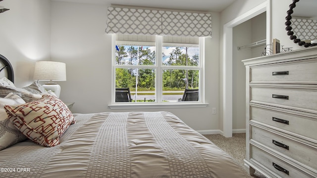 4132 Concord Blvd, Chipley, FL 32428 - bedroom with carpet and baseboards