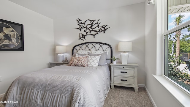 4132 Concord Blvd, Chipley, FL 32428 - bedroom with carpet, multiple windows, and baseboards