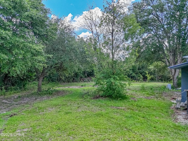 25966 George Maloy Ln, Altha, FL 32421 - view of green lawn