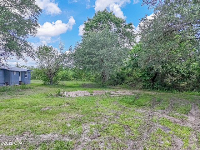 25966 George Maloy Ln, Altha, FL 32421 - view of yard
