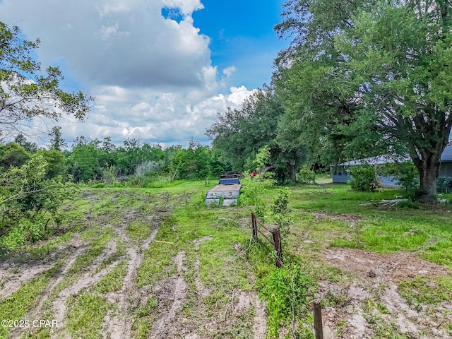 25966 George Maloy Ln, Altha, FL 32421 - view of yard