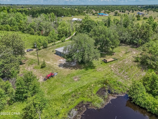 25966 George Maloy Ln, Altha, FL 32421 - drone / aerial view of a forest