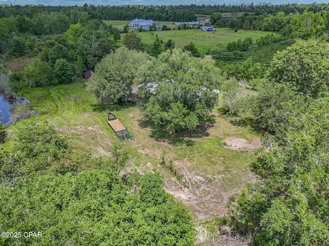 25966 George Maloy Ln, Altha, FL 32421 - drone / aerial view