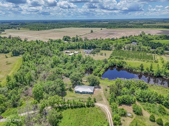 25966 George Maloy Ln, Altha, FL 32421 - overview of rural landscape featuring abundant farmland and a nearby body of water
