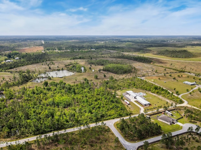 290 Rudys Blaze, Wewahitchka, FL 32465 - view of property location with a large body of water