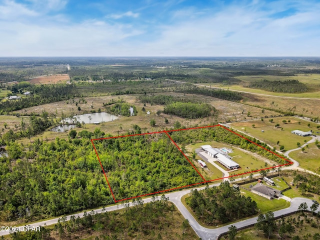 290 Rudys Blaze, Wewahitchka, FL 32465 - view of rural area with property boundaries highlighted