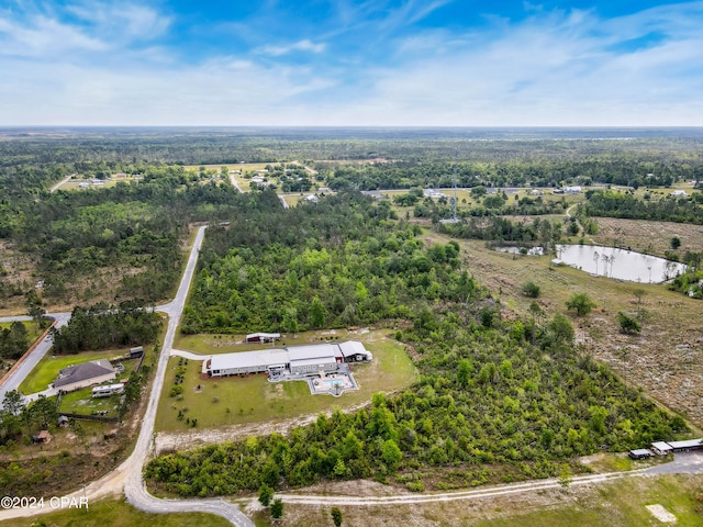 290 Rudys Blaze, Wewahitchka, FL 32465 - aerial overview of property's location featuring a nearby body of water and a forest