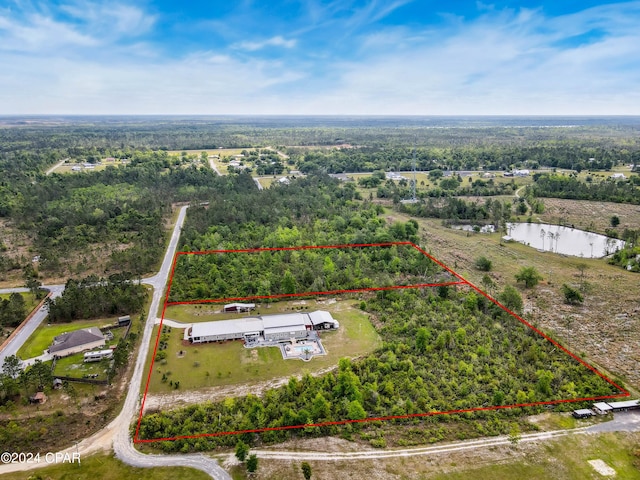 290 Rudys Blaze, Wewahitchka, FL 32465 - aerial overview of property's location featuring property parcel outlined, a large body of water, and a forest
