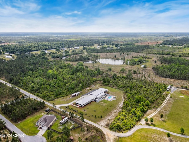 290 Rudys Blaze, Wewahitchka, FL 32465 - aerial view of property and surrounding area with a forest
