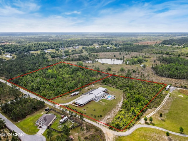 290 Rudys Blaze, Wewahitchka, FL 32465 - aerial view of property's location with property boundaries highlighted and a forest