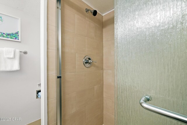 23223 Front Beach Rd Unit C1-502, Panama City Beach, FL 32413 - bathroom with a shower stall