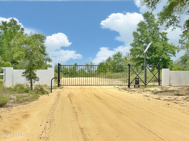 992 Hammond Lake Dr, Fountain, FL 32438 - view of gate