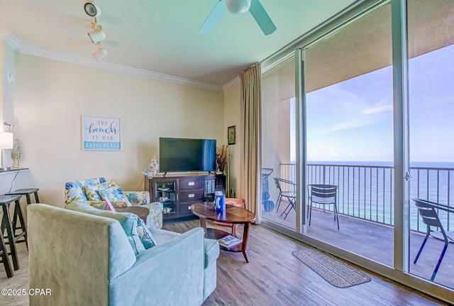 16819 Front Beach Rd Unit 2910, Panama City Beach, FL 32413 - living area featuring ceiling fan, wood finished floors, crown molding, a wall of windows, and track lighting
