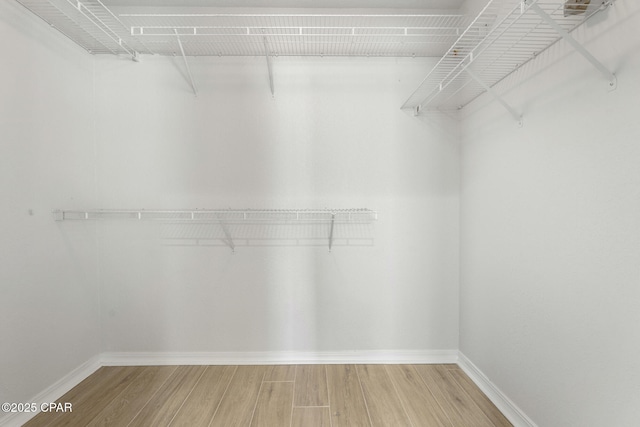 101 Loblolly Ct, Panama City Beach, FL 32413 - spacious closet featuring wood finished floors
