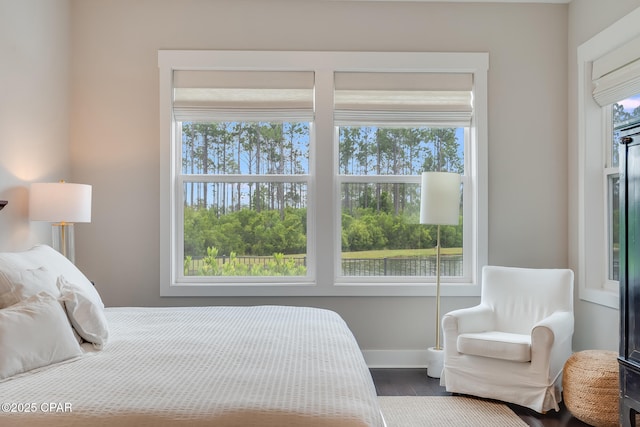 118 Ravine Rd, Inlet Beach, FL 32461 - bedroom with dark wood finished floors and multiple windows