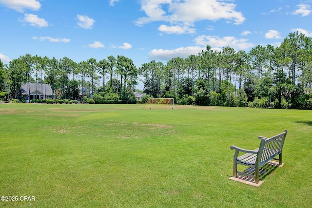 118 Ravine Rd, Inlet Beach, FL 32461 - view of yard with an area for soccer and view of scattered trees