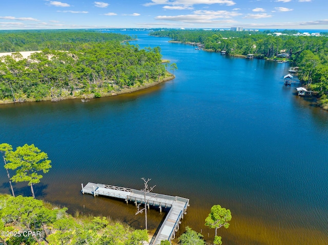 118 Ravine Rd, Inlet Beach, FL 32461 - bird's eye view of a nearby body of water and a heavily wooded area