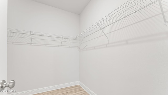 698 Norris Dr, Port St Joe, FL 32456 - walk in closet with wood finished floors