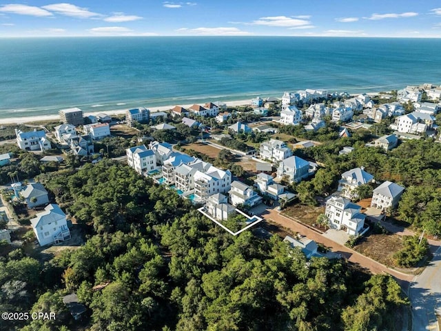 45 Eagles Lndg, Inlet Beach, FL 32461 - aerial view of property's location featuring unending shoreline