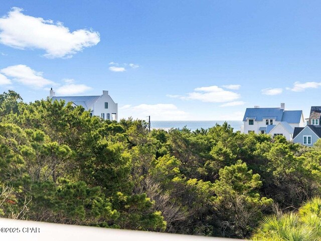 45 Eagles Lndg, Inlet Beach, FL 32461 - view of yard