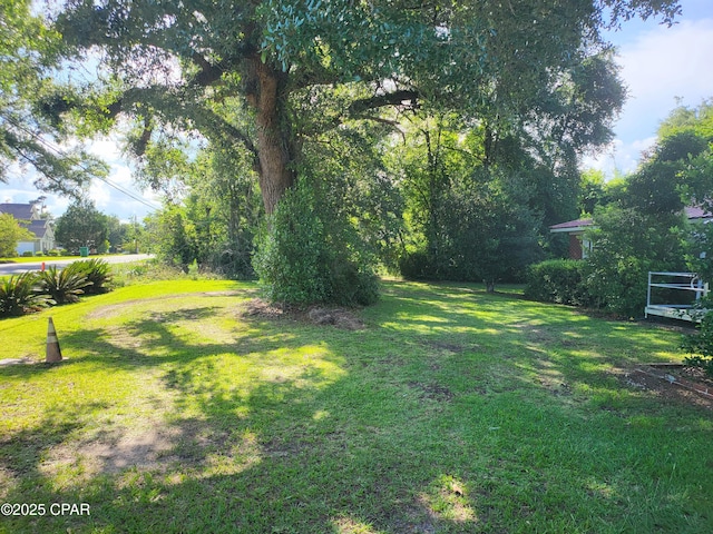4010 Old Cottondale Rd, Marianna, FL 32448 - view of green lawn