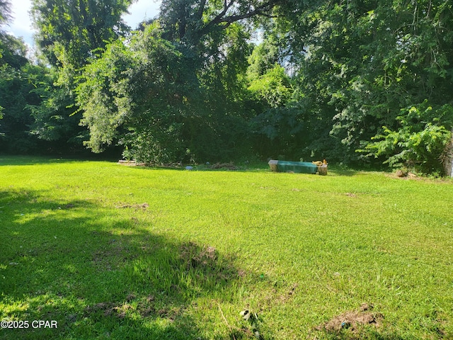 4010 Old Cottondale Rd, Marianna, FL 32448 - view of green lawn