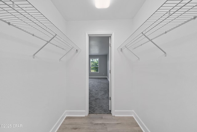 1601 Loblolly Ln, Lynn Haven, FL 32444 - spacious closet featuring wood finished floors