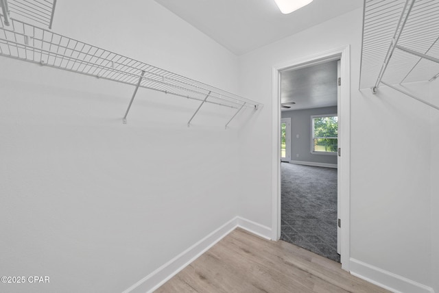1601 Loblolly Ln, Lynn Haven, FL 32444 - spacious closet with light wood-style flooring