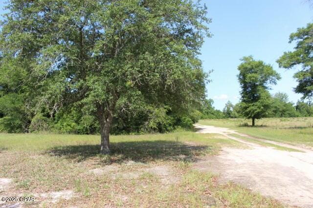 5929 Nichols Rd, Bascom, FL 32423