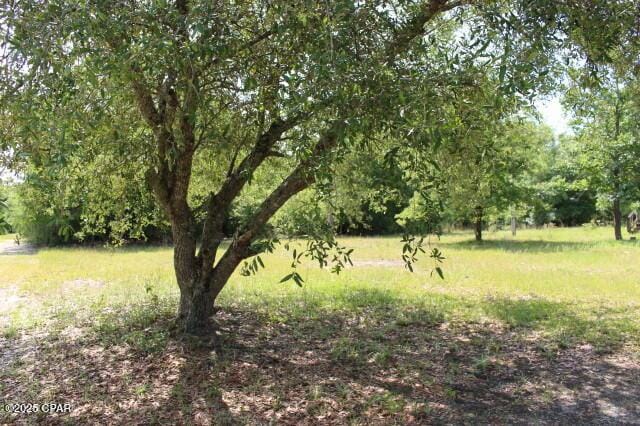 5929 Nichols Rd, Bascom, FL 32423