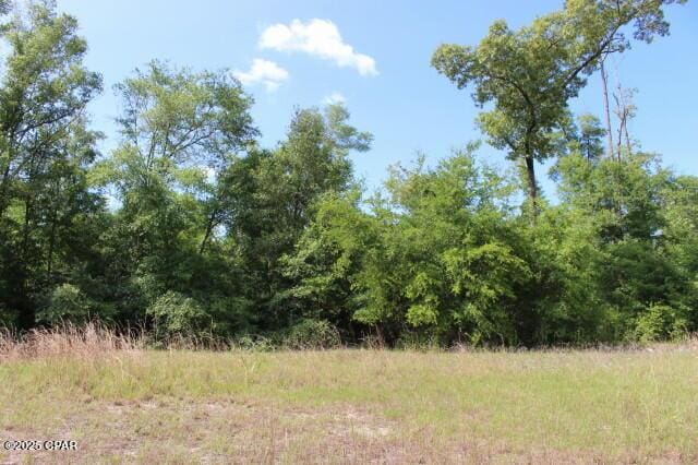 5929 Nichols Rd, Bascom, FL 32423