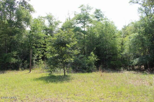 5929 Nichols Rd, Bascom, FL 32423