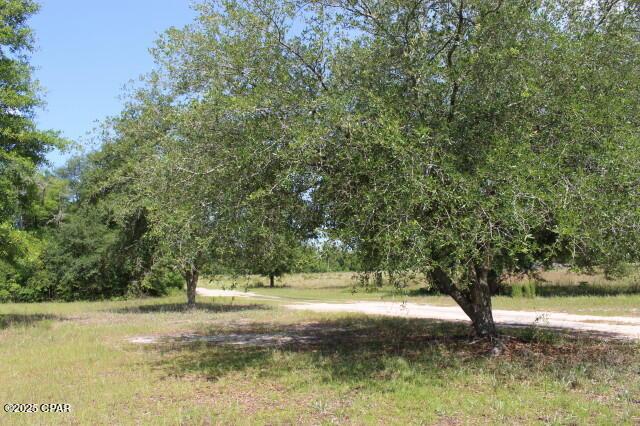 5929 Nichols Rd, Bascom, FL 32423
