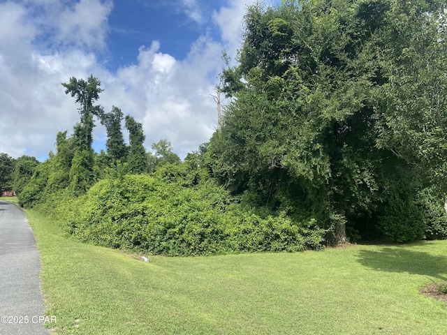 0000 Magnolia Blossom Ln Unit 16, Marianna, FL 32446