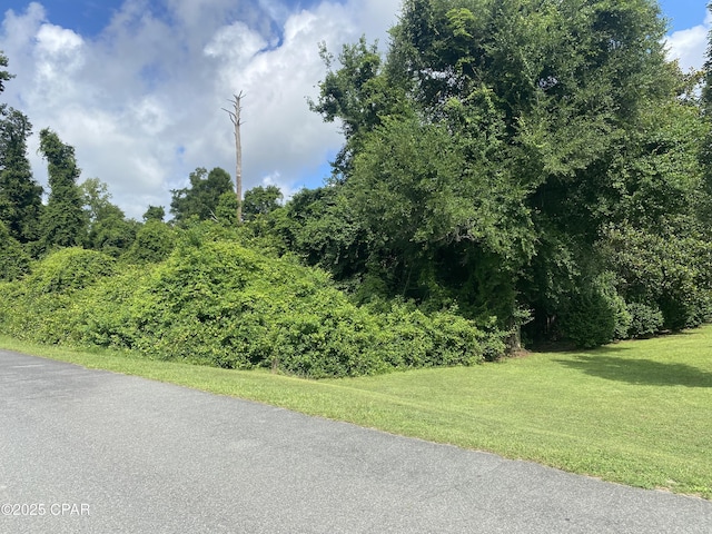 0000 Magnolia Blossom Ln Unit 16, Marianna, FL 32446