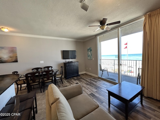 16819 Front Beach Rd Unit 107, Panama City Beach, FL 32413 - living room featuring wood finished floors, ceiling fan, a textured ceiling, ornamental molding, and floor to ceiling windows