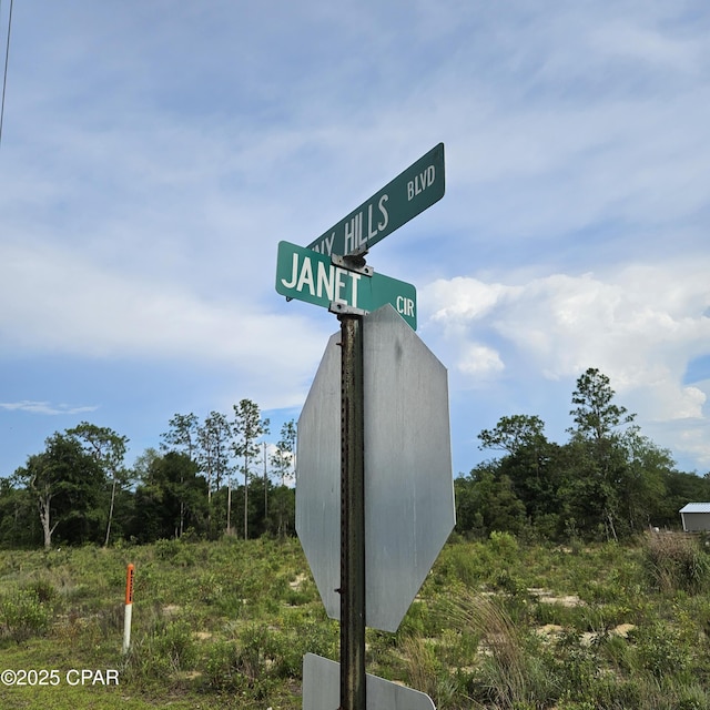 TBD Sunny Hills Blvd, Chipley, FL 32428
