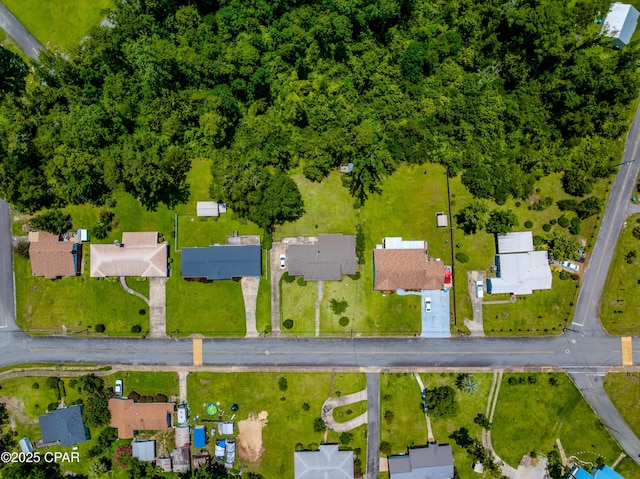 1016 Morgan Ave, Chattahoochee, FL 32324 - drone / aerial view