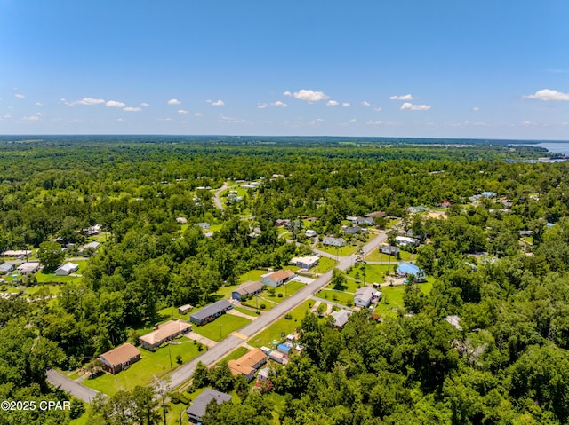 1016 Morgan Ave, Chattahoochee, FL 32324 - aerial perspective of suburban area with a heavily wooded area