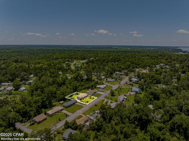 1016 Morgan Ave, Chattahoochee, FL 32324 - aerial view of a heavily wooded area