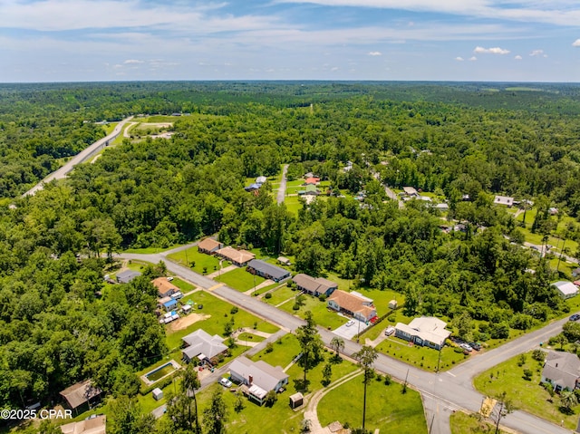 1016 Morgan Ave, Chattahoochee, FL 32324 - aerial perspective of suburban area featuring a forest