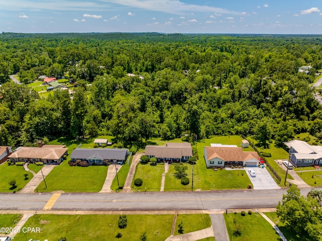 1016 Morgan Ave, Chattahoochee, FL 32324 - aerial perspective of suburban area with a heavily wooded area