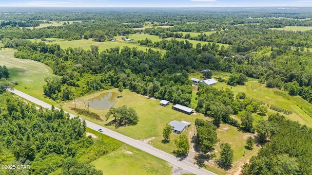 3483 Kynesville Rd, Marianna, FL 32448 - bird's eye view of a heavily wooded area